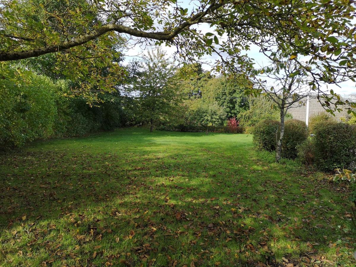 Safine B&B Fåborg Exteriér fotografie